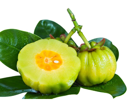 garcinia_cambogia